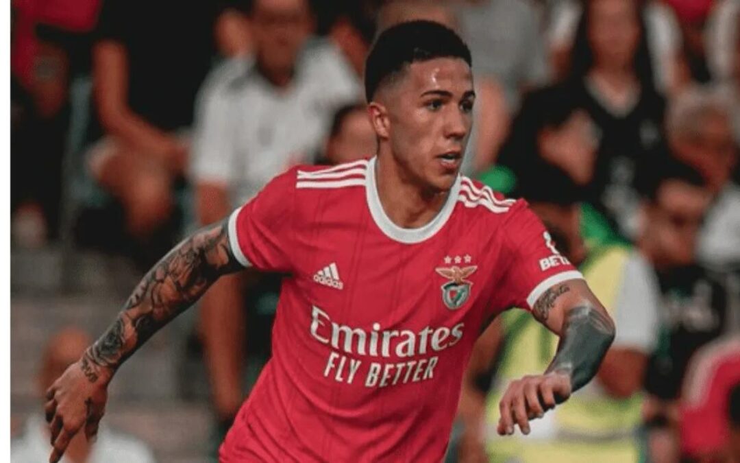 En River lo extrañan: otro golazo de Enzo Fernández en el Benfica